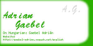 adrian gaebel business card
